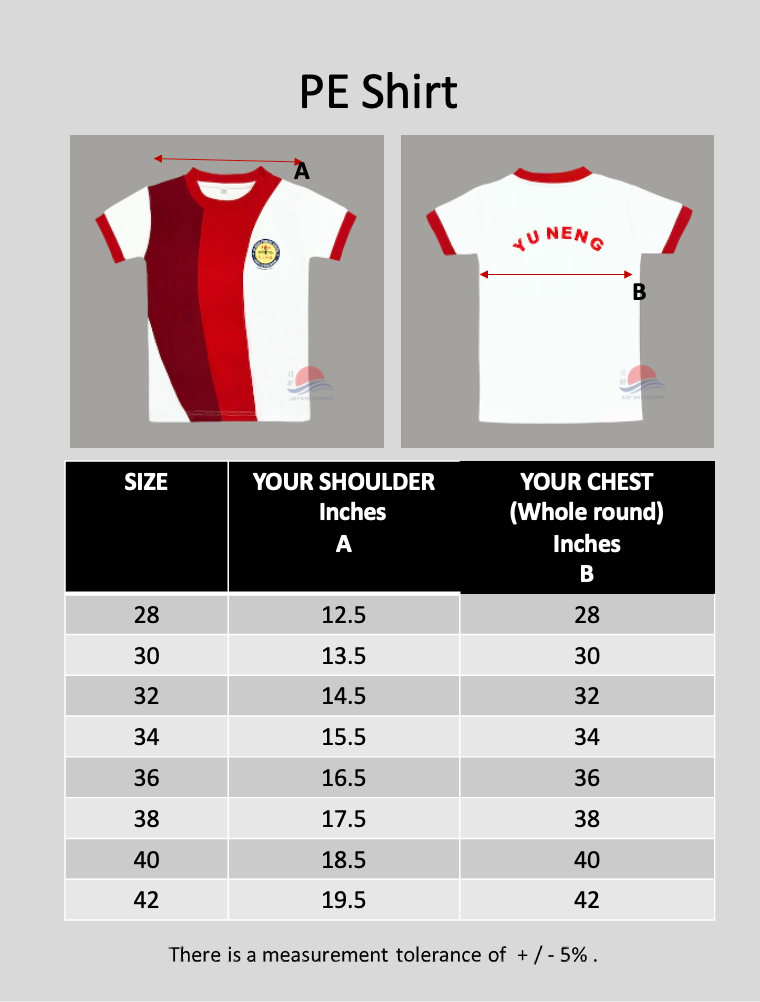 YNPS RED T-shirt